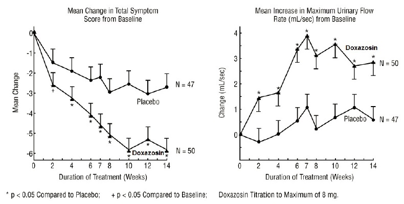 Figure 1 – Study 1