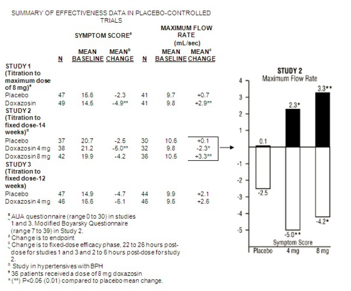 Table 3 SUMMARY OF EFFECTIVENESS DATA IN PLACEBO-CONTROLLED TRIALS