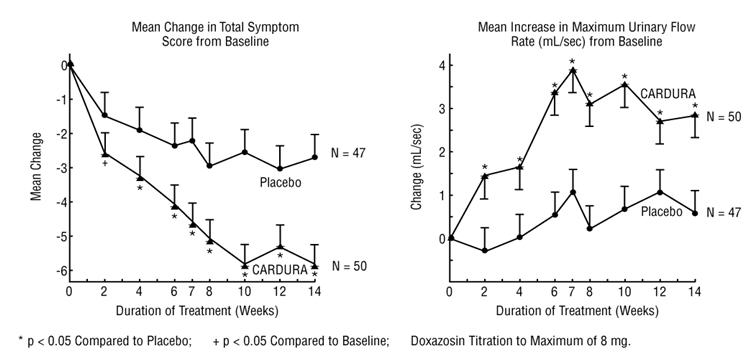 Figure 1 - Study 1