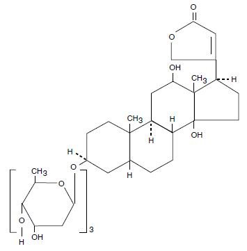 Structural Image