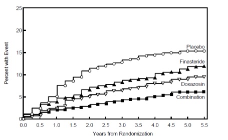 figure4.jpg