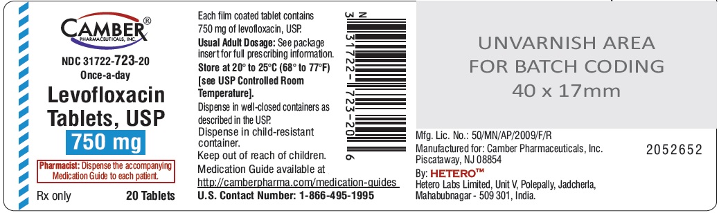 levofloxacin750mg20s